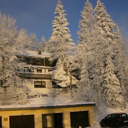 Pension Stiegelmeier Winterberg Exterior photo
