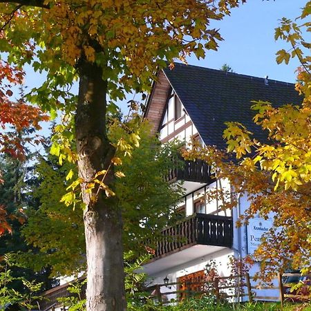 Pension Stiegelmeier Winterberg Exterior photo