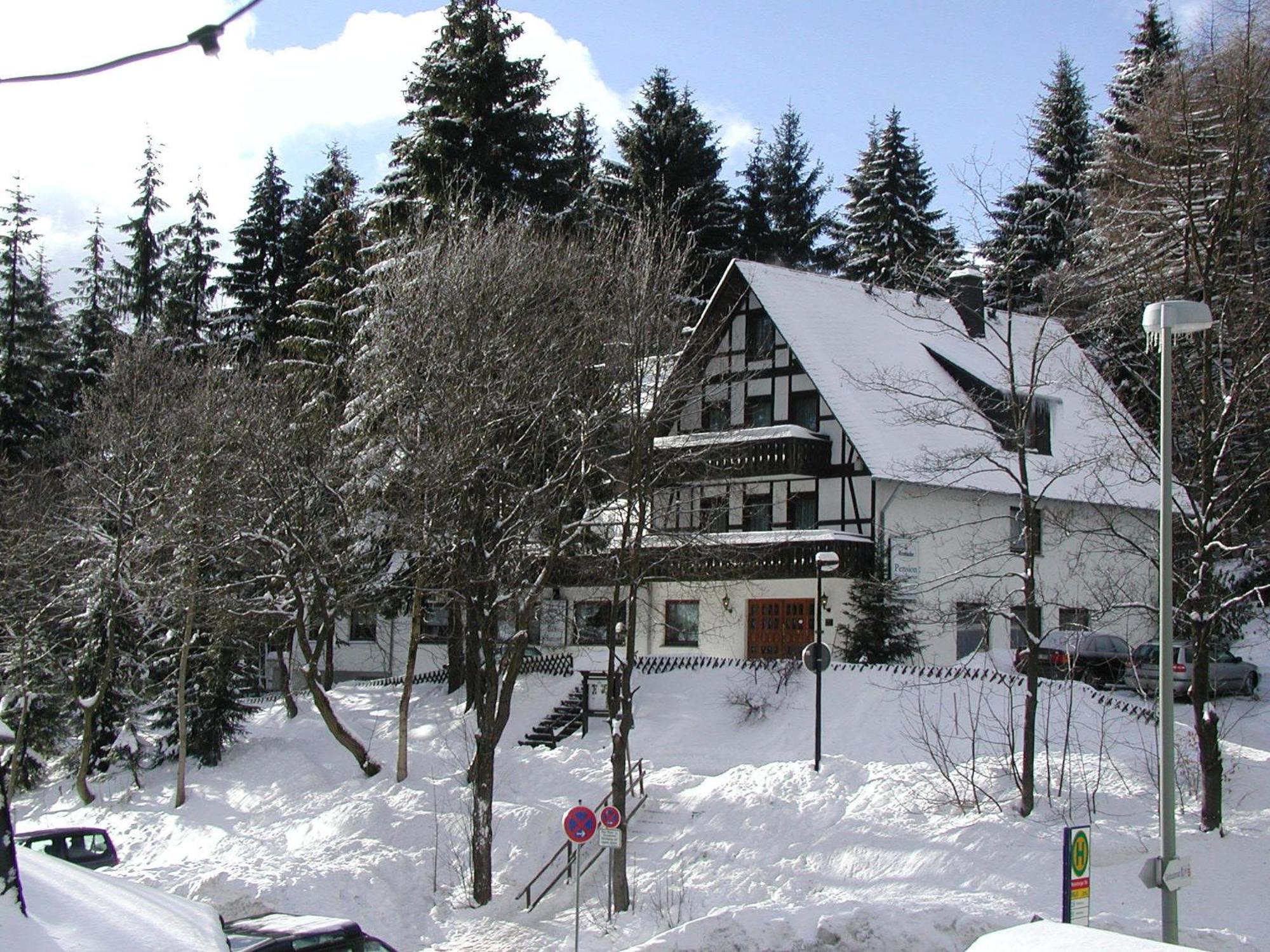 Pension Stiegelmeier Winterberg Exterior photo